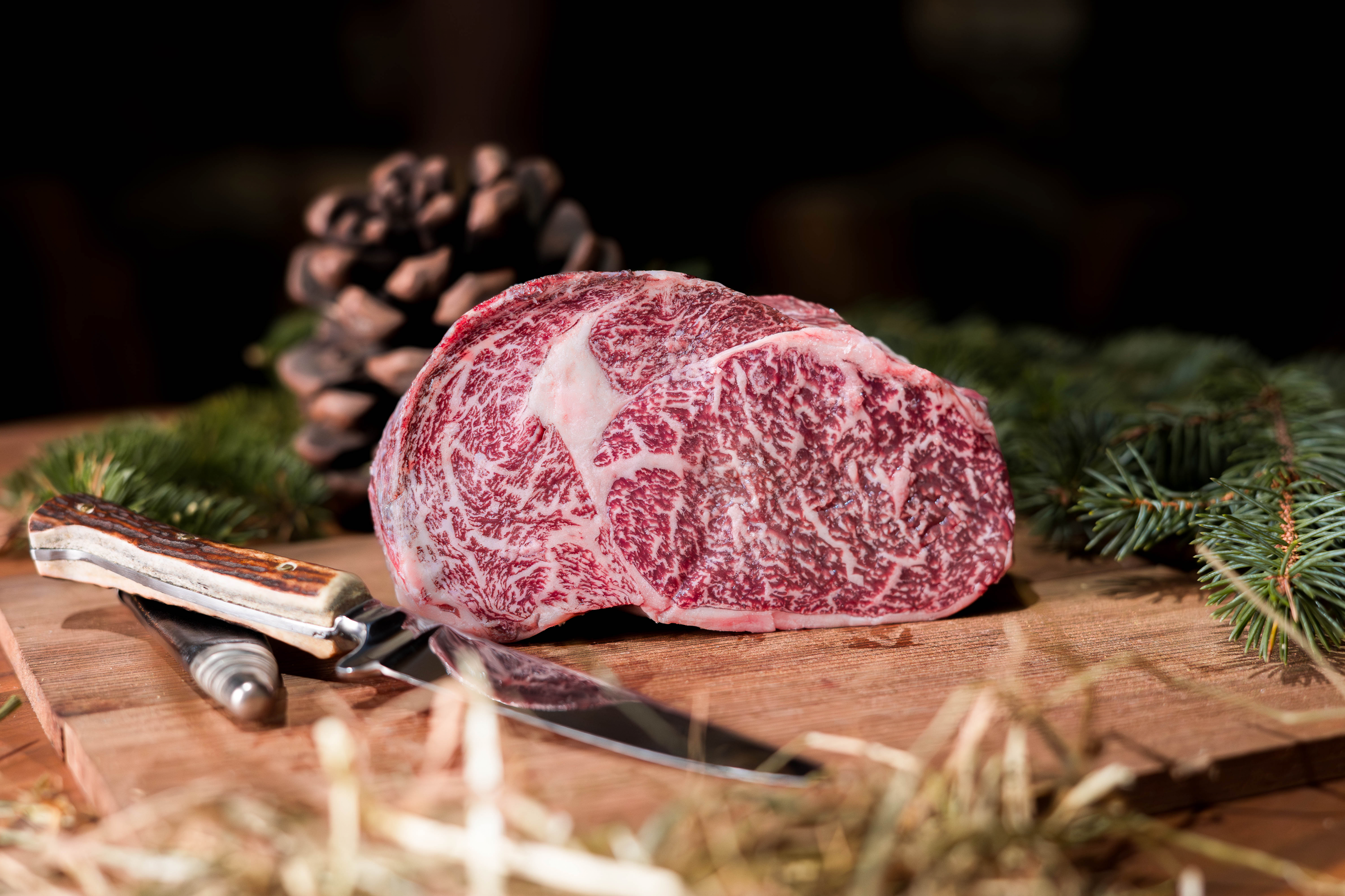 Dachstein Wagyu Marmorierung