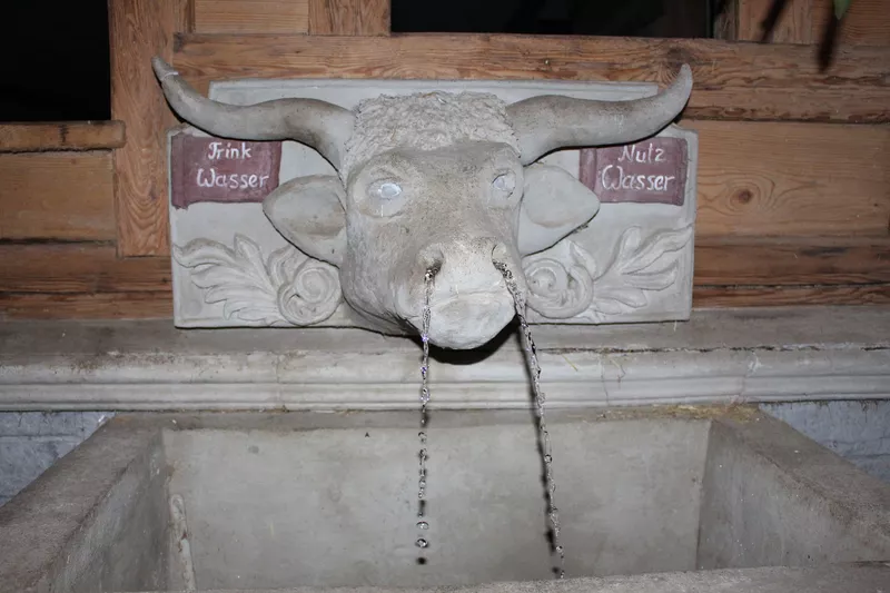 Wasserbrunnen in Form eines Wagyu Stierkopfes