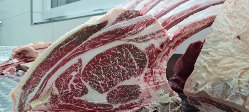 Tomahawk Steak eines Wagyu Rindes mit schöner Marmorierung